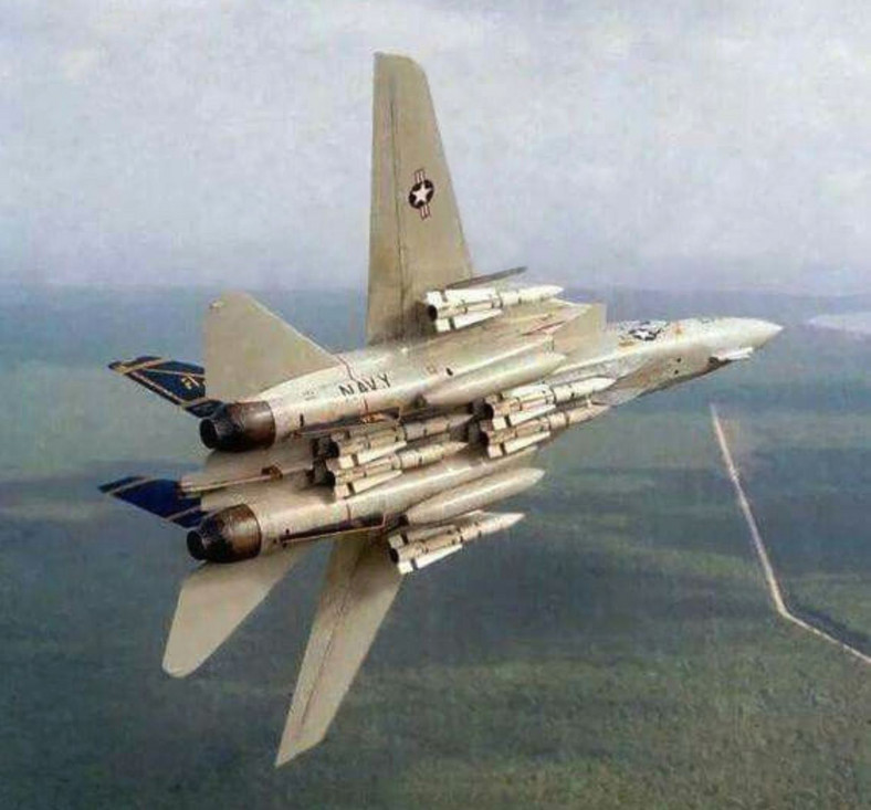F-14 Tomcat