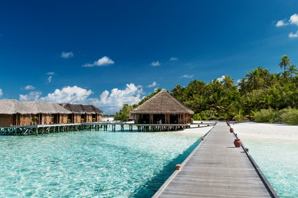 Praca marzeń? Potrzebny sprzedawca książek do luksusowego hotelu na Malediwach
