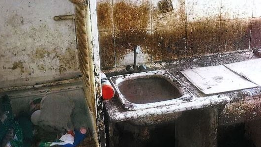 Szörnyű körülmények: 26 macskával élt együtt egy pécsi panelban az állatkínzó nő: 11 állat el is pusztult – Íme a sokkoló fotók