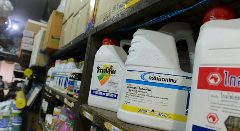 Containers of pesticide and weed killer containing paraquat and glyphosate on sale at a gardening shop in Bangkok