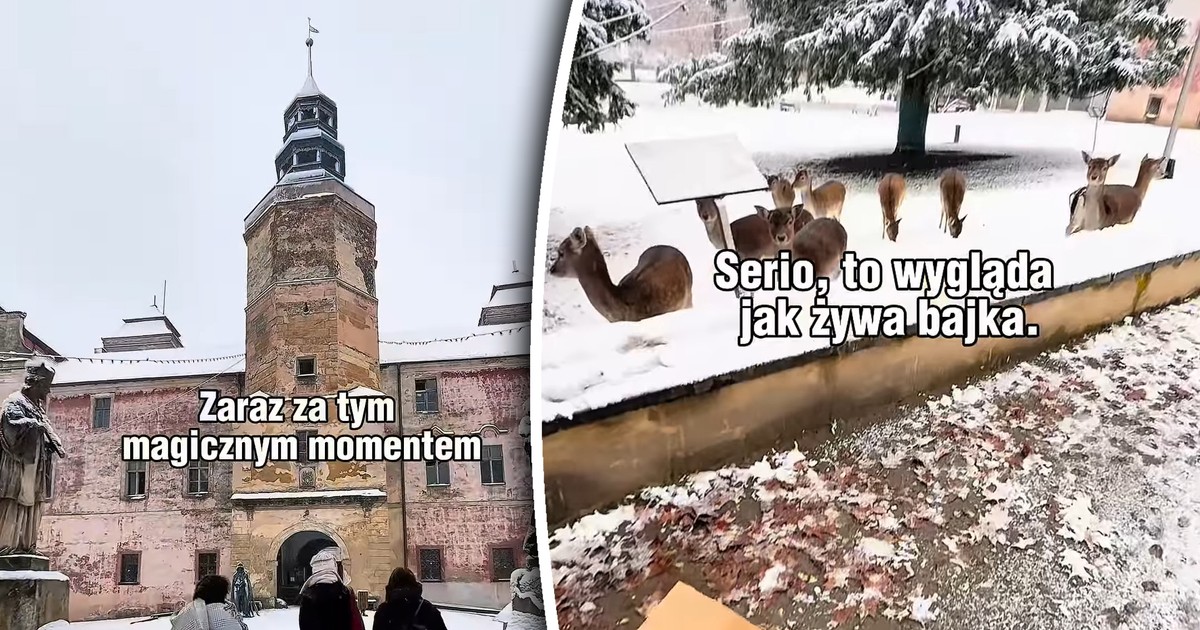 Tajemniczy zamek na Opolszczyźnie niczym piękna kraina w Japonii. Można karmić bajkowe stworzenia