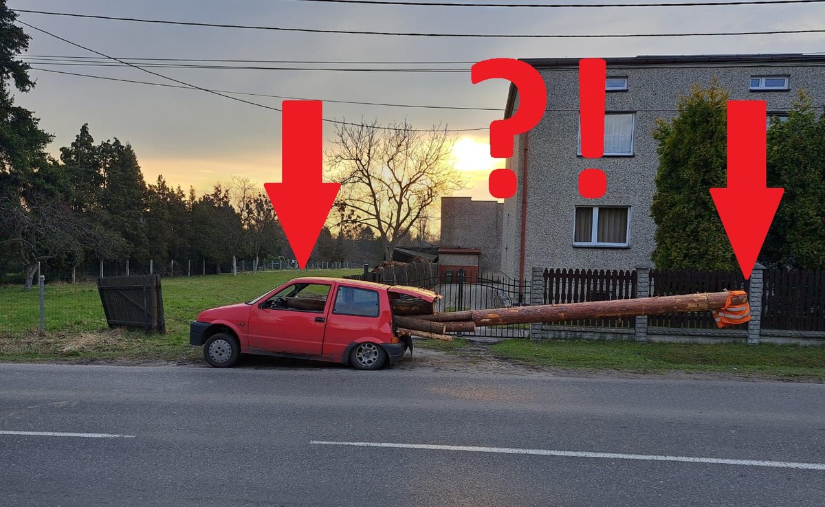 Cinquecento z balem drewna niczym czołg z 9-merową armatą