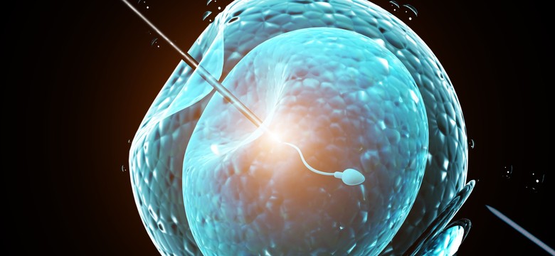Szansa dla ponad 170 par ze Słupska. Dofinansowanie procedury IN VITRO