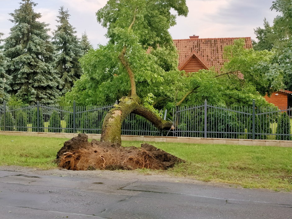 Skutki burz w Łódzkiem