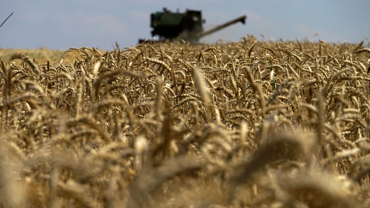 Spór o zboże ukształtuje przyszłe stosunki Polski z Ukrainą