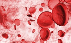 Wirus SARS-CoV-2 uszkadza czerwone krwinki i może hamować powstawanie nowych