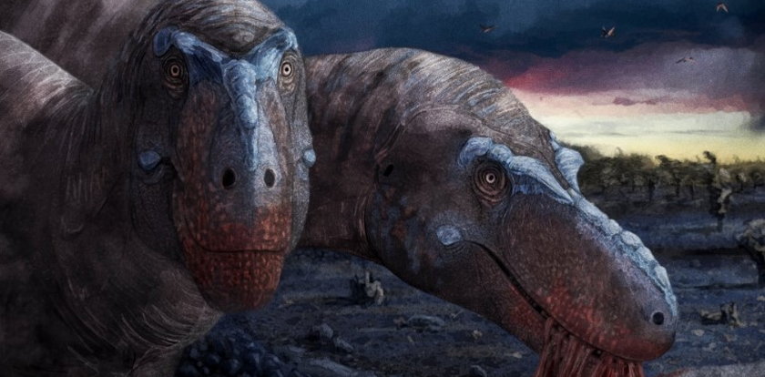 Ktoś zapłacił fortunę za szkielet wyjątkowego dinozaura. Naukowcy wściekli. Dlaczego?