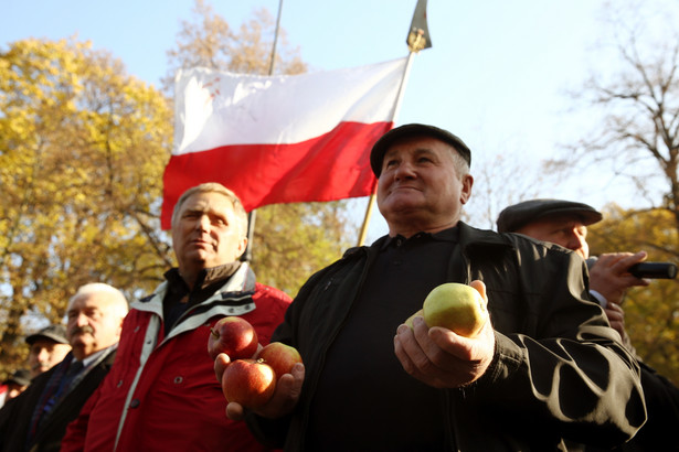 W stolicy około 500 rolników protestowało przeciwko polityce rządu i Unii Europejskiej, które ich zdaniem niewystarczająco wspierają producentów jabłek.