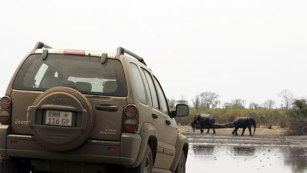 Jak wyposazyć auto terenowe?