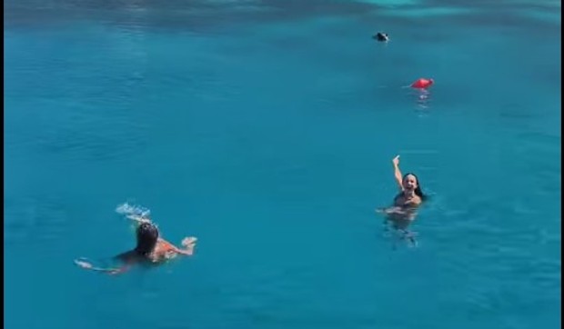 Aleksandra beži od svinje