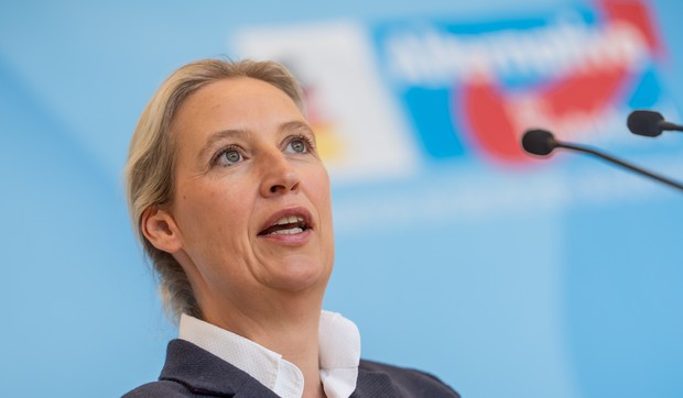 Alis Vajdel