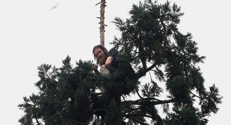 Man goes viral after staying in tree for 25 hours