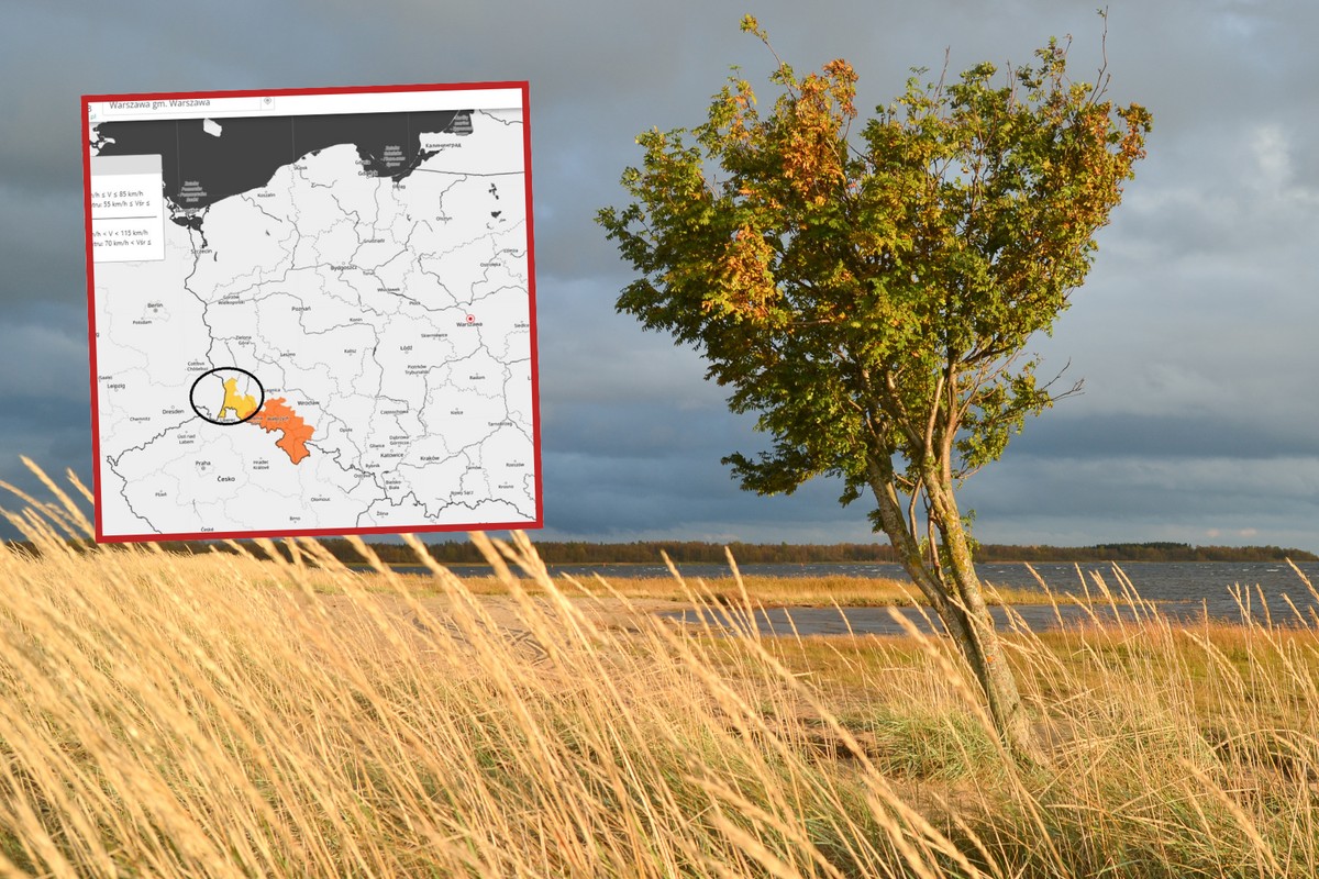 Alert IMGW. Zagrożenie silnym wiatrem i mgłą