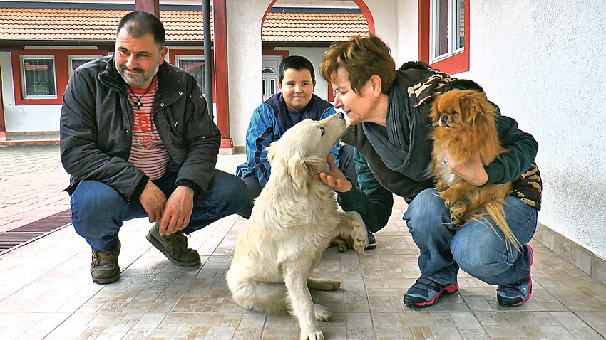 U poslednjih mesec dana na deponijama su našli osam štenaca