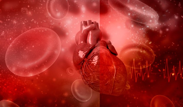 San, vežbanje i ishrana - dobitna kombinacija za zdravlje srca 