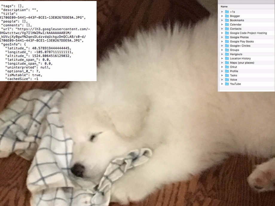 Google sent me two ENORMOUS 2G files on what it is tracking on me. Inside were folders of stuff, including computer scripts on me and my data. But most of it was photos. Every photo I ever uploaded since 2013, full size. Here's a photo of my puppy that it sent, and an example of the JSON scripts and the list of files in folders that it sent.