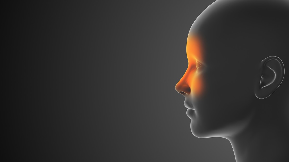 I alergije i infekcija sinusa izazivaju oticanje nosnih prolaza 