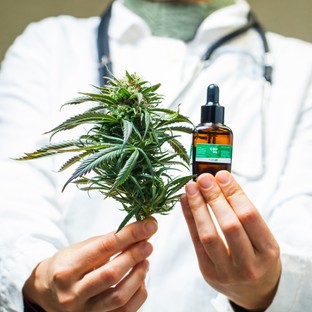 Orvosi kannabisz: milyen betegségekre lehet jó? A szakgyógyszerész válaszol