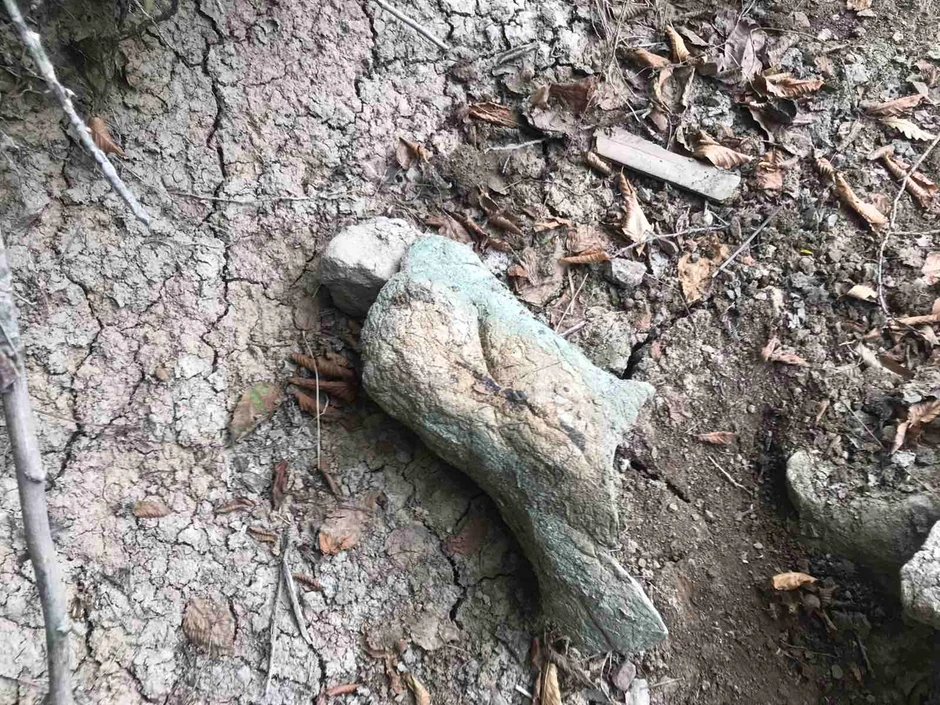 Miljkoviću ovaj deo stene liči na kandžu ili zub