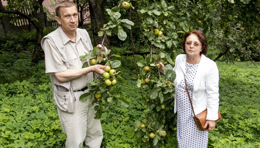 Andrzej i Wanda Lis na swojej diząłce