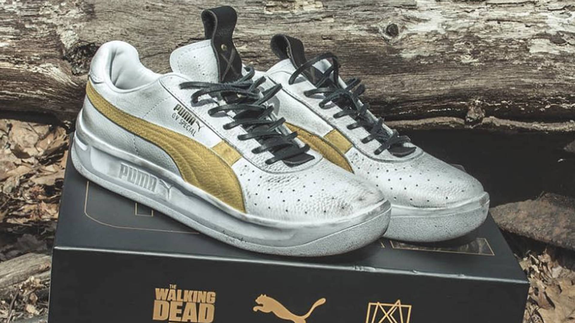 puma day of the dead