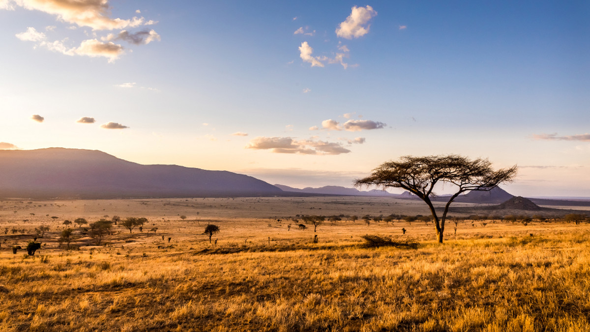 Turystyki zaatakowane maczetami w Kenii. Jedna straciła palec
