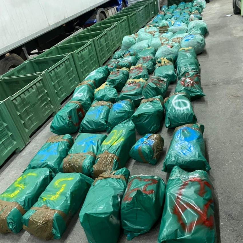 500 kilograma zaplenjene marihuane