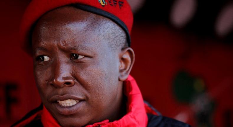 Julius Malema, the firebrand leader of South Africa's Economic Freedom Fighters (EFF) looks on before addressing his supporters during his campaign, ahead of the August 3 local government elections, in Etwatwa, a township near Benoni, South Africa