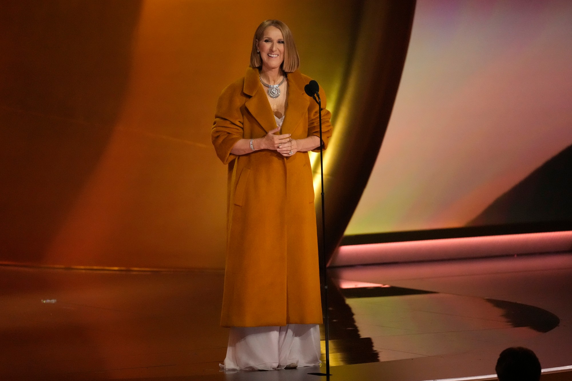 66. ročník odovzdávania cien Grammy - Céline Dion.