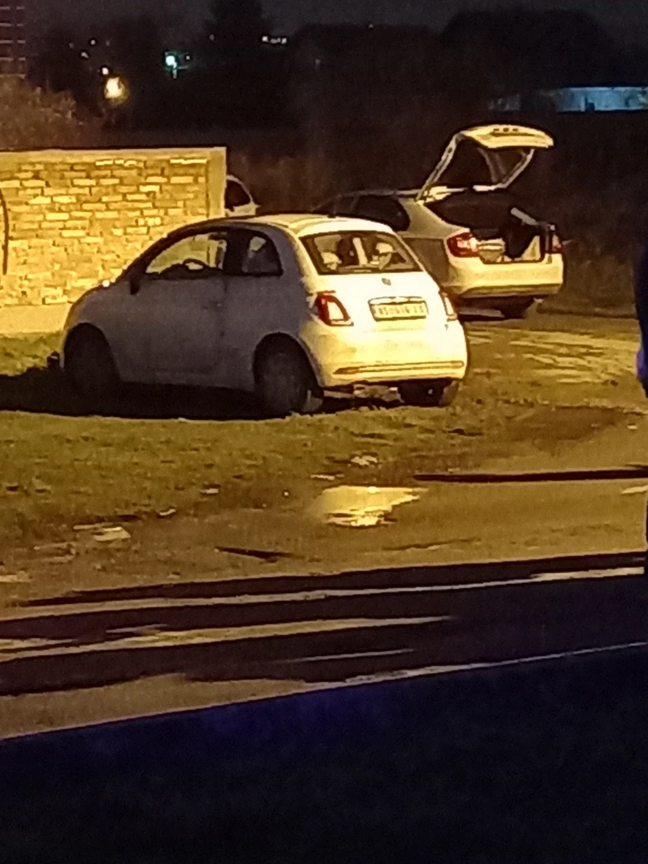 Novi Sad Veternik ubistvo