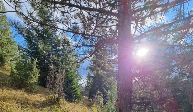 Zlatar vazdušna banja