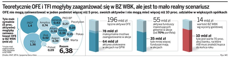 Teoretycznie OFE i TFI mogłyby zaangażować się w BZ WBK, ale jest to mało realny scenariusz