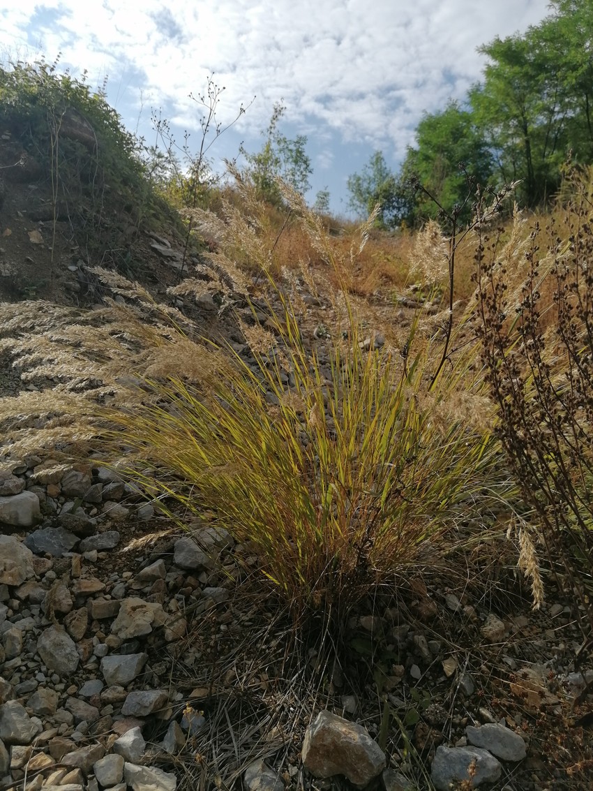 Neolitsko naselje StaPARK kod Užica - prirodni ambijent