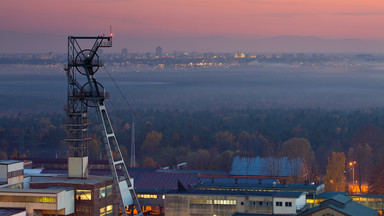 Średnia roczna temperatura w Katowicach rośnie o 0,3 stopnia na dekadę