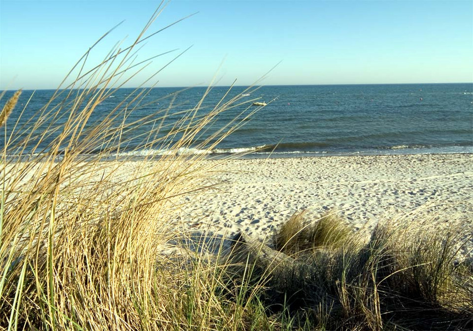 Polskie plaże 2010 - wyniki głosowania - 24