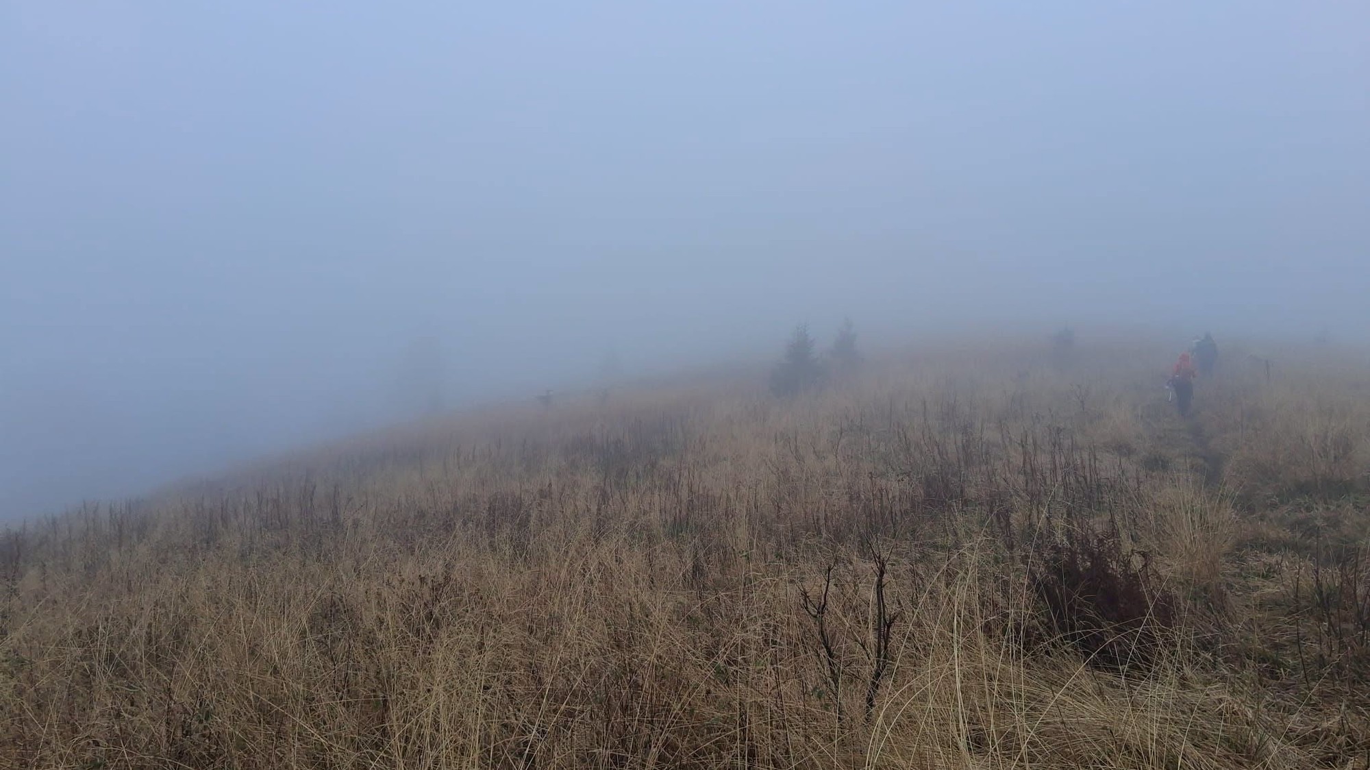 Incident sa odohral v poľskom pohorí Bieszczady. 
