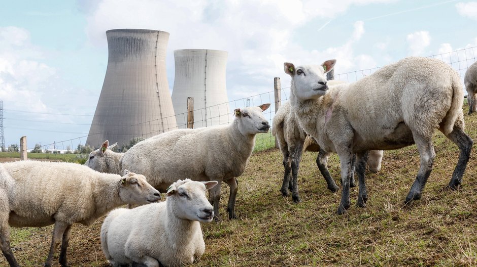 Elektrownia atomowa w belgijskim Doel