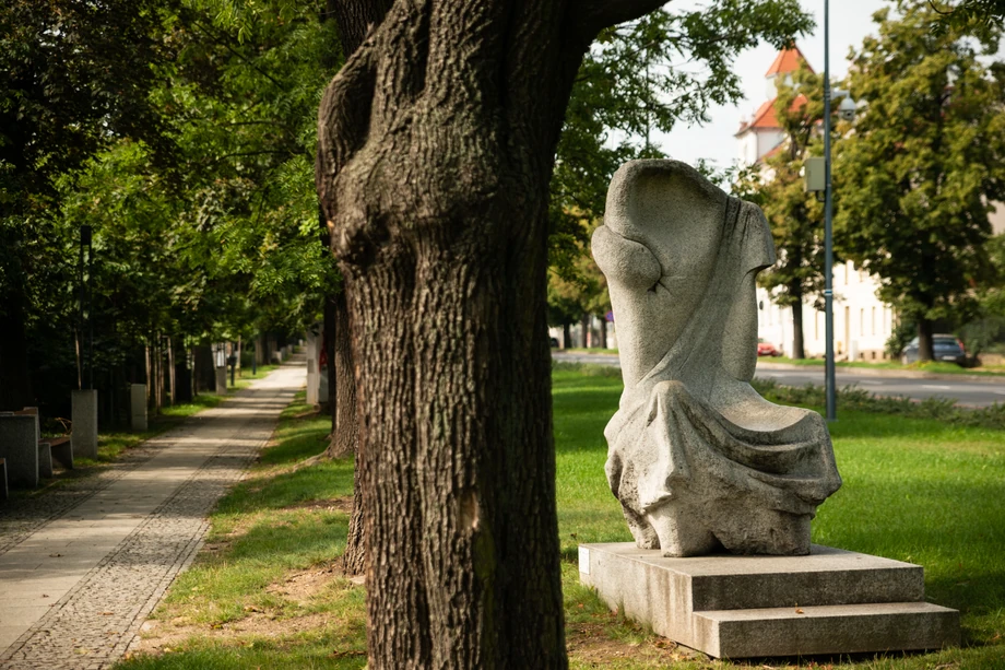  Grzegorz Niemyjski, Matka, 2012 , Strzegomskie Centrum Kultury, fot. Jan Janiak