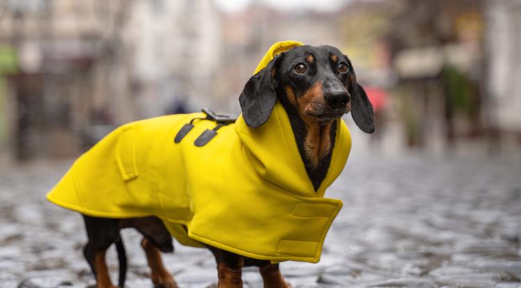 Szeszélyes lesz az időjárás Fotó: Getty Images
