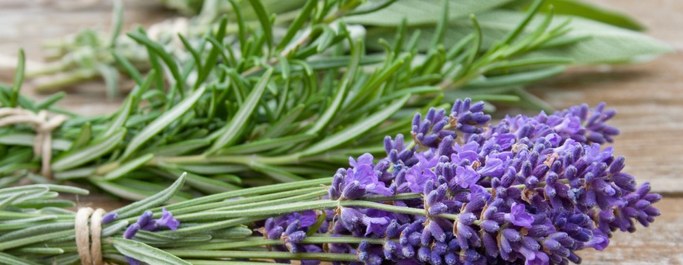 Izomfájdalom és stressz okozta fejfájás: ezek a gyógynövények segítenek 