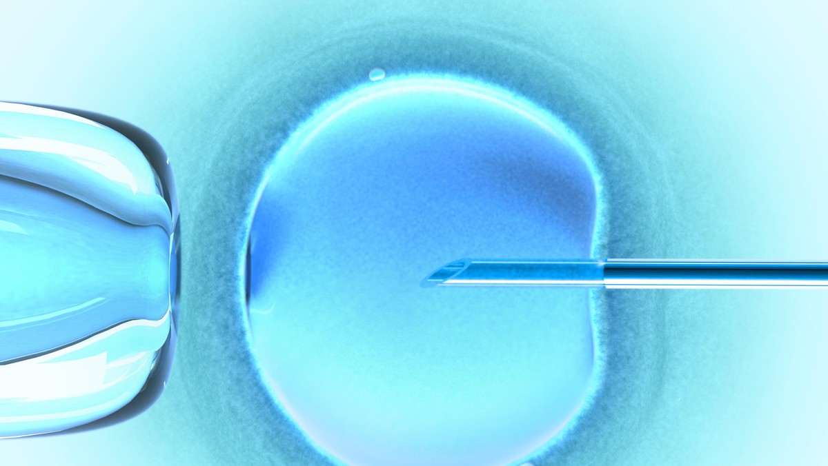 Ovum Cold Color (in vitro fertilization)