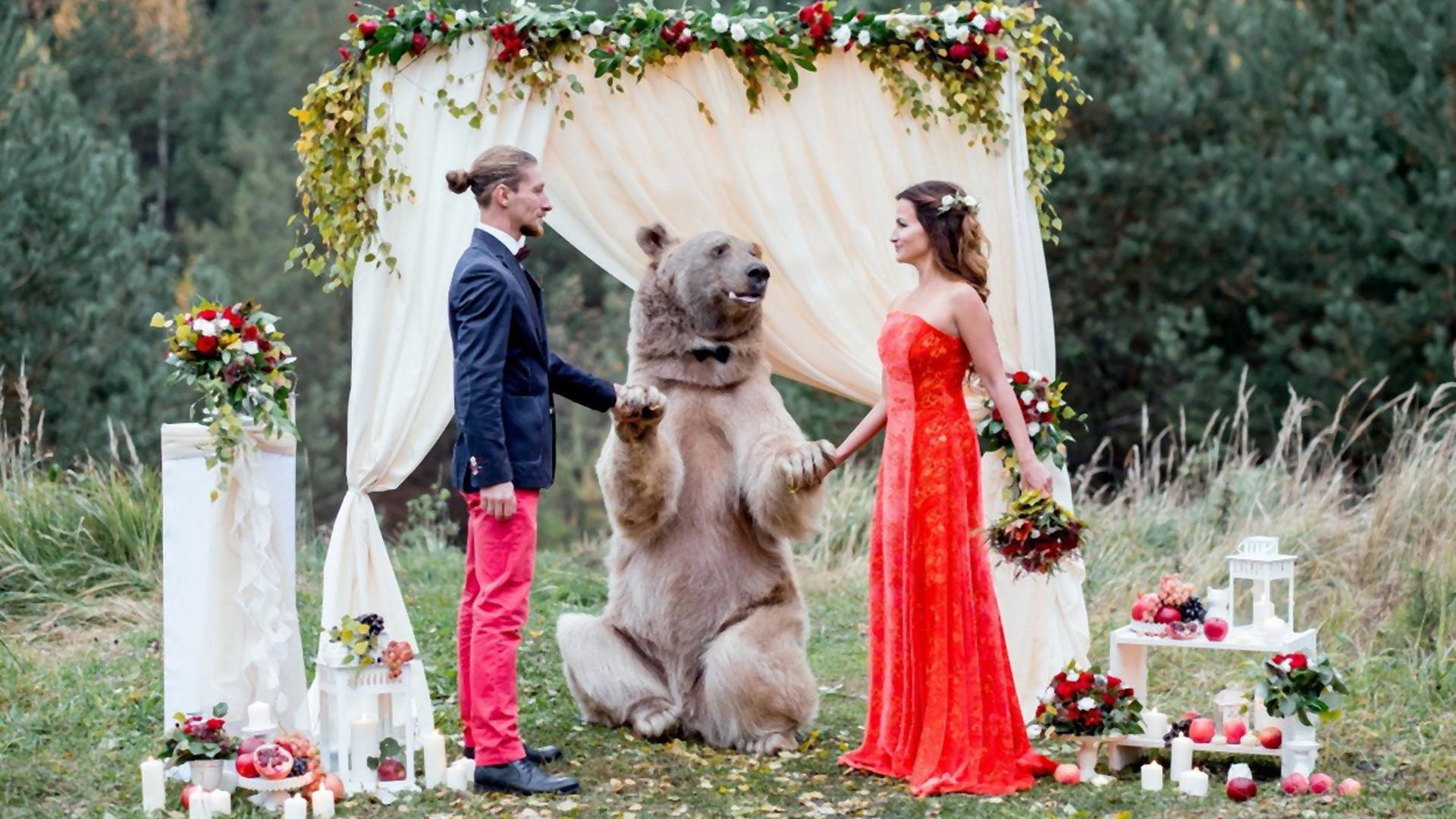 Fotografije medveda koji venčava par iz Rusije nisu ni slatke ni smešne