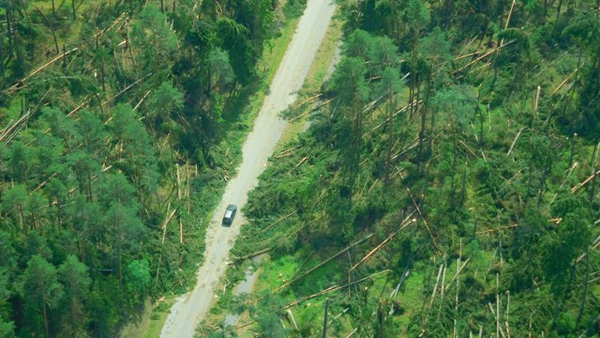 Wiatr powalił i połamał setki drzew w północno-wschodniej Polsce. Straty po nawałnicach, które w piątek przeszły nad województwem podlaskim przekroczyły 600 tysięcy metrów sześciennych drzew. Leśnicy apelują o zachowanie ostrożności.