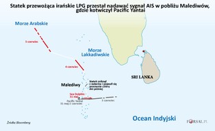 Handel pod przykrywką. Oto sposoby unikania sankcji gospodarczych