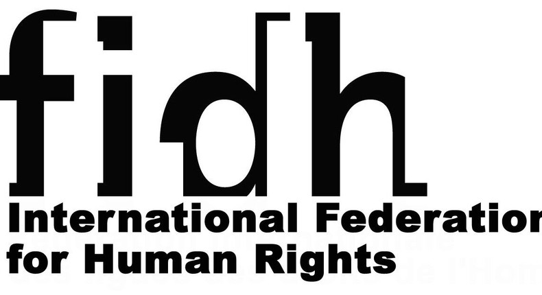 International Federation of Human Rights (FIDH)