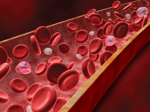 Cholesterol v krvi norma