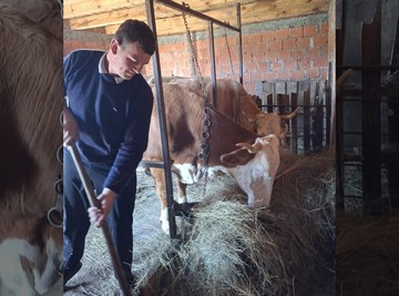 "KRAVU I DEVOJKU BIRAJ IZ SVOG SELA" Luka Crepuljarević završio fakultet, pa otišao da čuva krave, a ovako provodi Veliki petak: Ima najbolju tehniku za FARBANJE JAJA