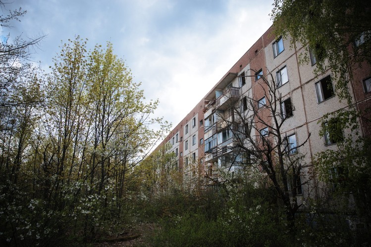 Badanie polega na wejściu do metalowej bramki i przyłożeniu rąk do specjalnego urządzenia. Powrót do cywilizacji umożliwia wyświetlający się na bramce napis „czysto”. Racjonalne wyjaśnienie, że pieczenie twarzy to tylko efekt promieni słonecznych, nie pozwala jednak na uzyskanie całkowitego spokoju. Pobyt w Czarnobylu należy z siebie dokładnie zmyć.