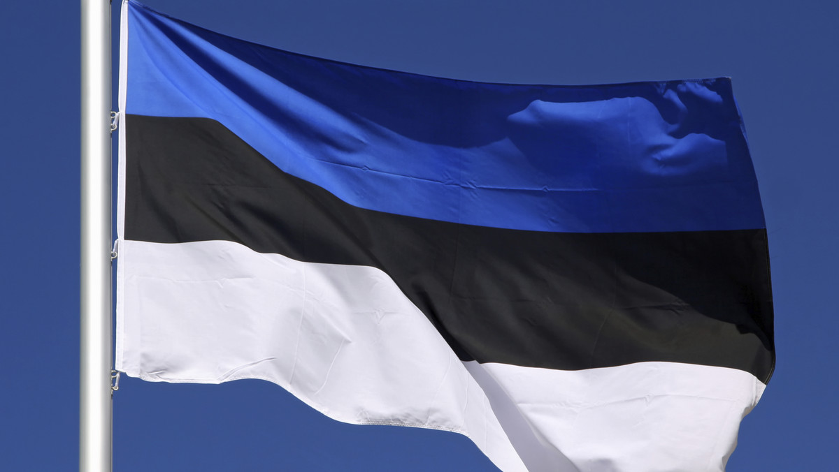 Jedna trzecia spośród 1,5 miliona mieszkańców Estonii ma korzenie rosyjskie i uważa rosyjski za swój język ojczysty. Na zewnątrz Estonia potępia postępowanie Rosji wobec Ukrainy. Jednak w kraju nastroje są podzielone.