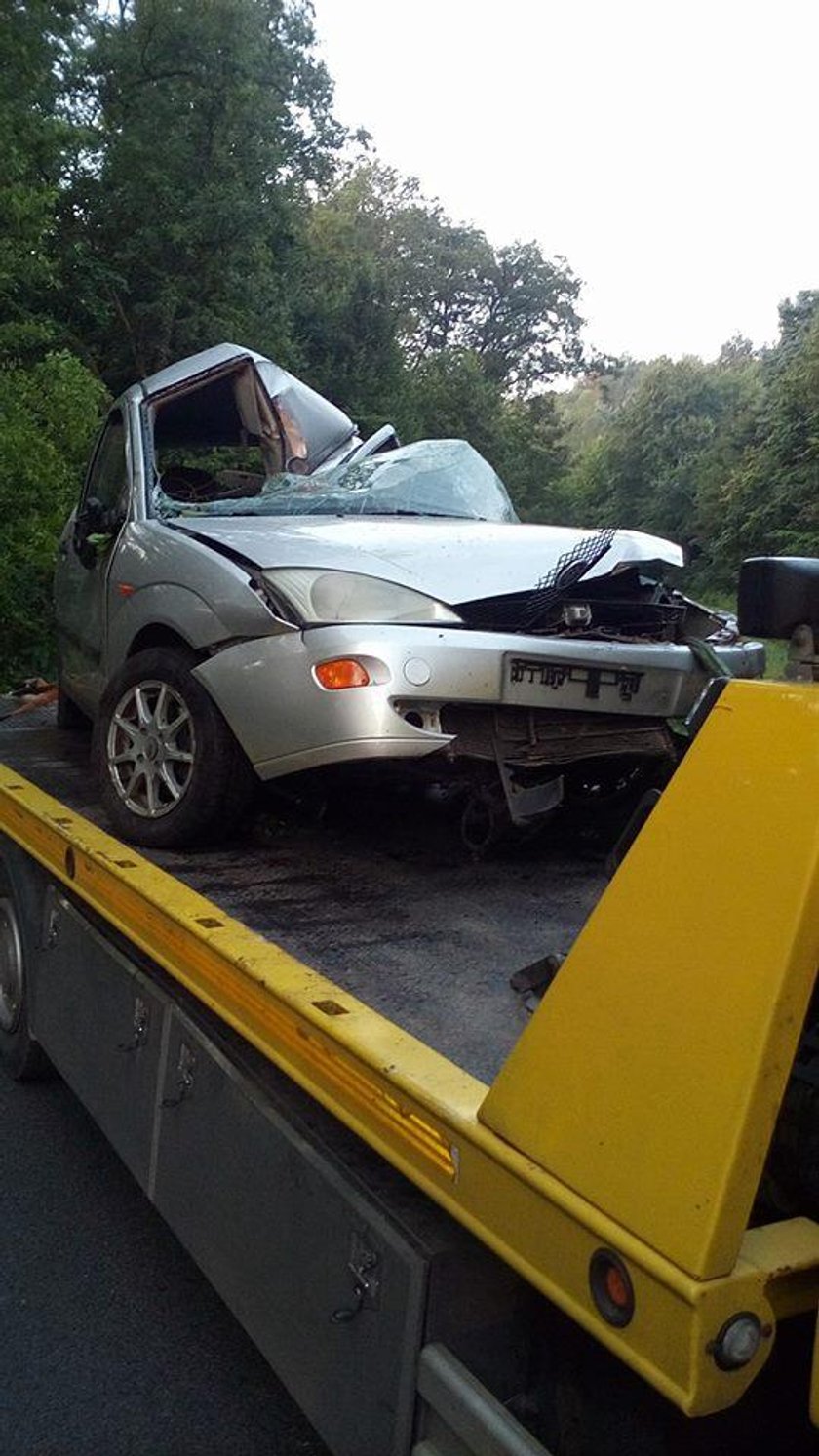 Młodzi ludzie wracali z imprezy w Bogdańcu. Auto uderzyło w drzewo